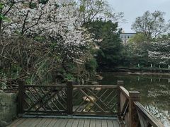-南山植物园