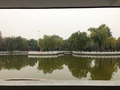 -丰台花园