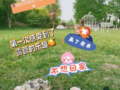 -杨柳青庄园