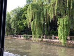 -运河游船(武林门码头)