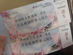 -常德桃花源景区