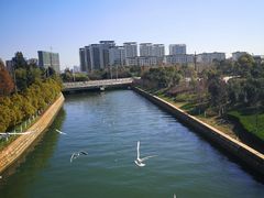 -五甲塘生态湿地公园