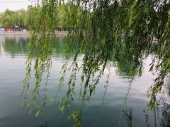 -百花洲
