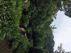 云峰山-云峰山自然风景区