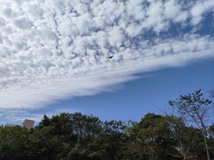 -广东金融学院(校本部)