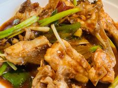 XO酱炒鱼腩-红日饭店(裕隆三路店)