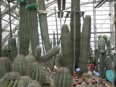 -南山植物园