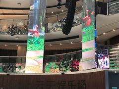 -云顶高原