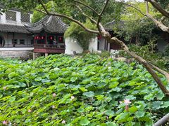 -上海醉白池公园