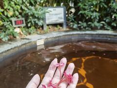 -林丰温泉度假山庄