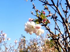 -观澜湖生态运动公社