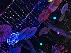 -海口观澜湖火山温泉谷