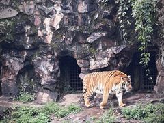 -杭州动物园