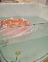 -台湾台婴美月子中心(长沙保利店)