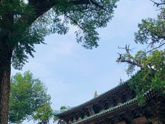 -晋祠公园