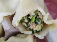 肉三鲜水饺-那家老院子东北菜·饺子·小鸡炖蘑菇(艳华街店)