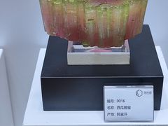 -天津梅江会展中心