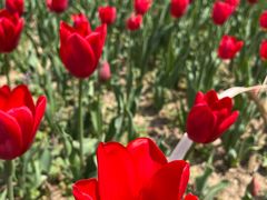 -玄武湖景区-情侣园游乐场