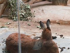 -齐齐哈尔龙沙动植物园