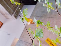 -不正咖啡(万达尊店)