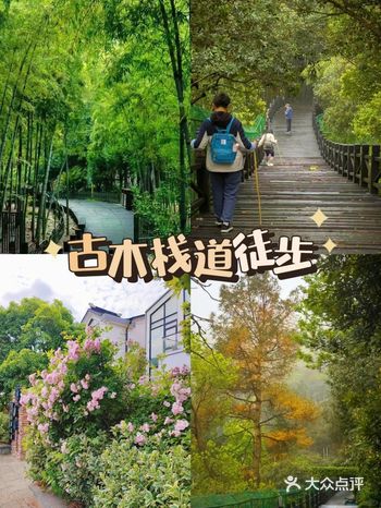 苏州树山旅游团建推荐～