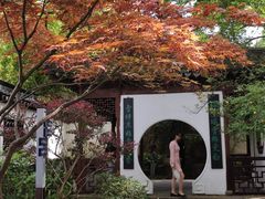 -上海醉白池公园