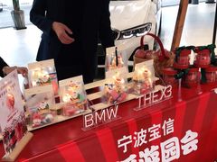 -宁波宝信宝马4S店(江北日湖店)