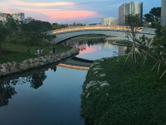 -宝安西湾红树林湿地公园