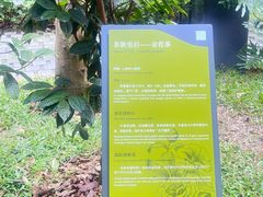 -云溪植物园