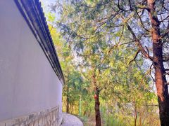 -北京凤凰岭