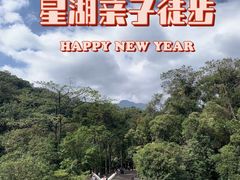 -鼎湖山风景区