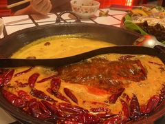 -朱光玉火锅馆(正弘城店)