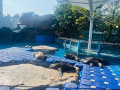 -海合安成都极地海洋公园