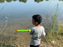 -永定河休闲森林公园