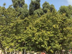 -长沙市青少年宫