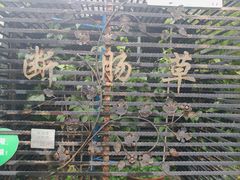 -广州神农草堂中医药博物馆
