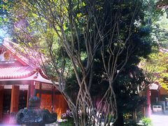 -都江堰普照寺