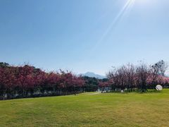 -福建鲤鱼洲酒店