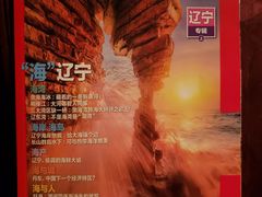 -虹桥机场国航贵宾室v8