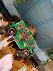 -宝燕乐园(闵行旗舰店)