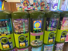 -大鲁阁保龄球(苏州园区店)