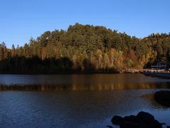 -五营红松林海景区