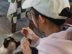 -猫小院猫主题餐厅(南锣旗舰店)