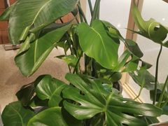 -Wagas沃歌斯(星荟中心店)