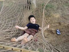 -三亚海棠湾万丽度假酒店