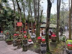 -土砂锅生态山庄·非遗砂锅雅鱼