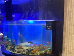 -王家渡火锅店(亦庄店)