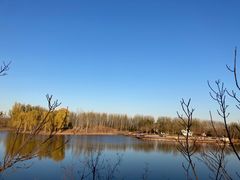 -东郊湿地公园