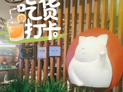 -猫爪爪原切自助烤肉(观音桥阳光世纪店)
