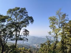 -广州市帽峰山景区